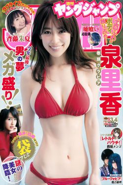 新包青天铡美案